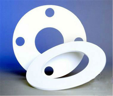 PTFE gasket